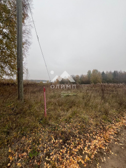 Россия, Вологодская область, Вашкинский муниципальный округ, деревня Тимино (Андреевский сельсовет)