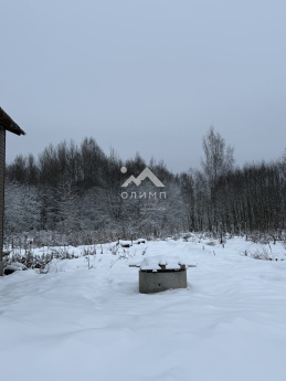 Россия, Вологодский муниципальный округ, посёлок Грибково