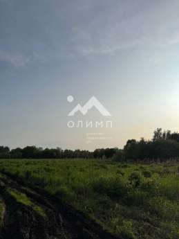 Россия, Вологодский муниципальный округ, деревня Новое (Борисовский сельсовет)