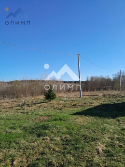 Россия, Вологодский муниципальный округ, деревня Игнатово