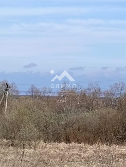 Россия, Вологодский муниципальный округ, деревня Мальгино (Подлесный сельсовет)