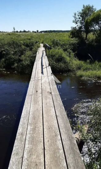 Россия, Вологодская область, Грязовецкий муниципальный округ, деревня Спасское, 62